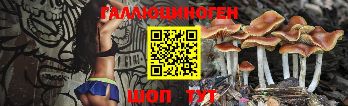 Галлюциногенные грибы MAGIC MUSHROOMS Новоалександровск