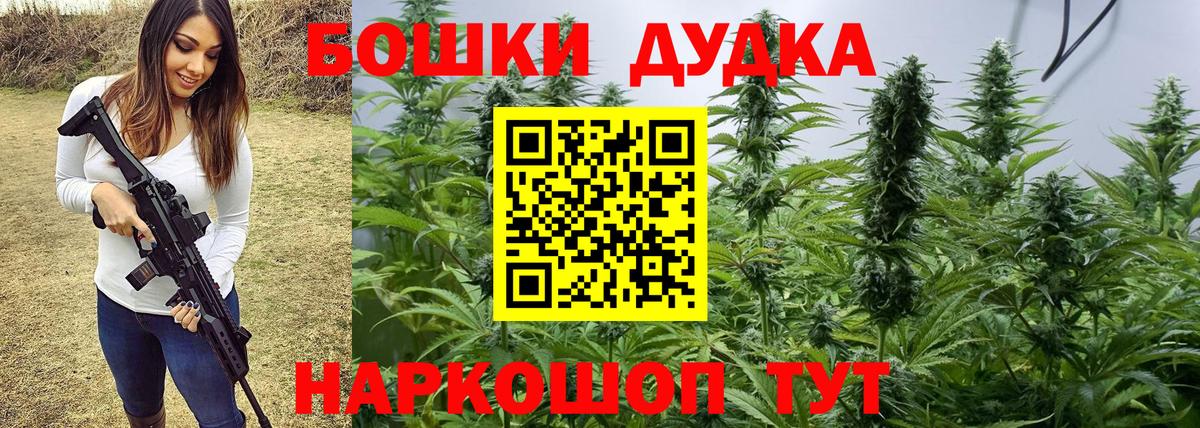 Бошки марихуана план  Вход с VPN  Новоалександровск  МАРИХУАНА индика  Каннабис план 